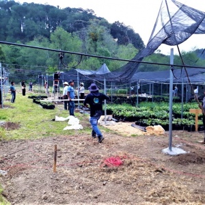 Construcción de Viveros Completos